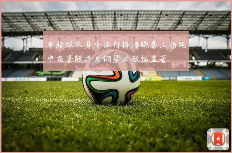 中超球队身价排行榜揭晓泰山领跑申花紧随其后铜梁龙涨幅显著