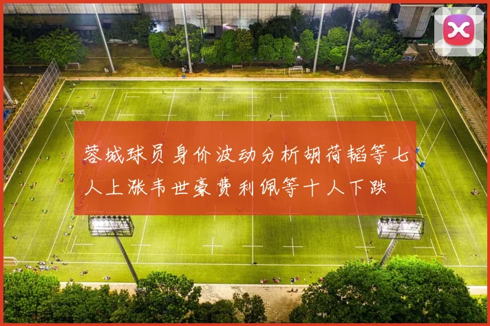 蓉城球员身价波动分析胡荷韬等七人上涨韦世豪费利佩等十人下跌